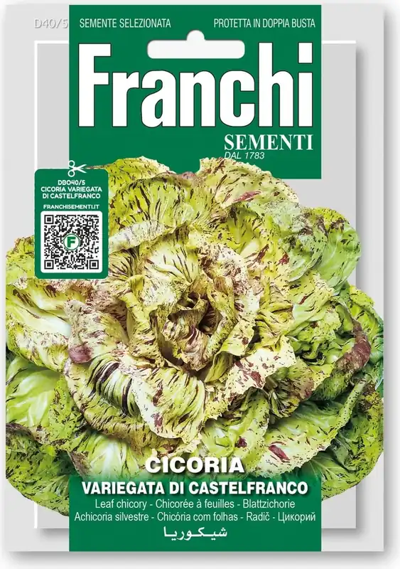 Verlaagde prijs | Franchi Sementi Witlof "Variegato di Castelfranco"