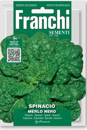 Franchi Sementi Spinazie “Merlo Nero” - Outlet