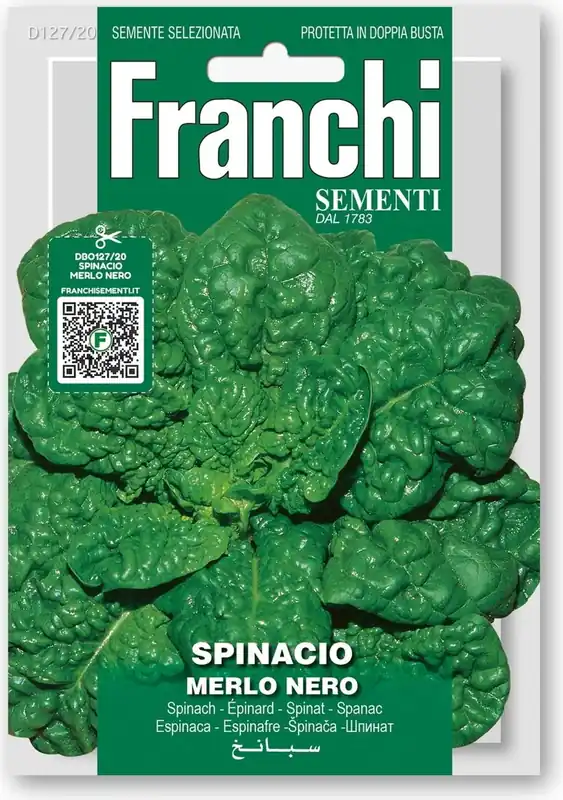 Franchi Sementi Spinazie “Merlo Nero” - Outlet