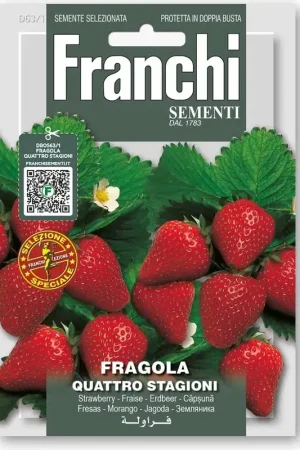 Rechtstreeks van de fabrikant | Franchi Sementi Aardbeien "Quattro Stagioni"