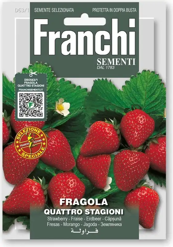 Rechtstreeks van de fabrikant | Franchi Sementi Aardbeien "Quattro Stagioni"