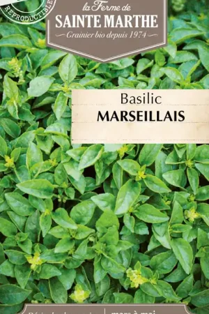 La Ferme de Sainte Marthe Basilicum “Marseillais” | Populair bij klanten