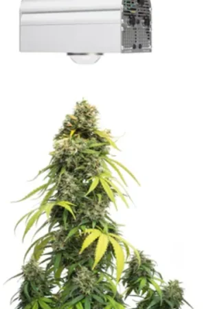 Actie loopt bijna af - Venso CANNA BULB LED Plantenlamp, 150 watt