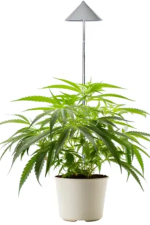 Venso CANNA SUNLiTE LED-plantenlamp 30 Watt, Antraciet | Veilig betalen