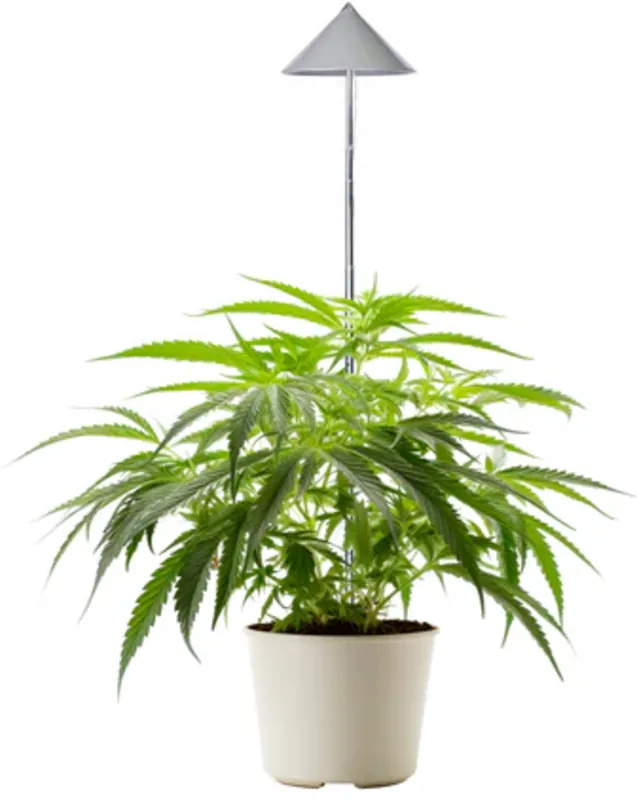 Venso CANNA SUNLiTE LED-plantenlamp 30 Watt, Antraciet | Veilig betalen