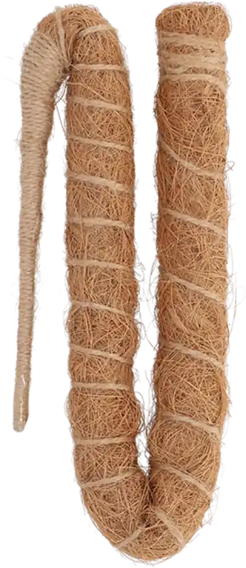 Esschert Design Flexibele kokos Plantenstok, S - Trending