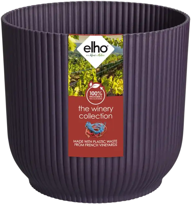 Nu beschikbaar | elho the winery collection 14cm, donkerpaars