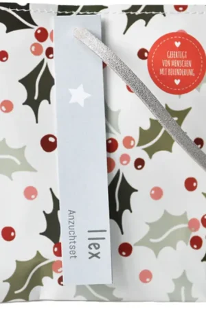 Wunderle Kleine Kerstgroet Kweekset "Ilex" - Laatste kans