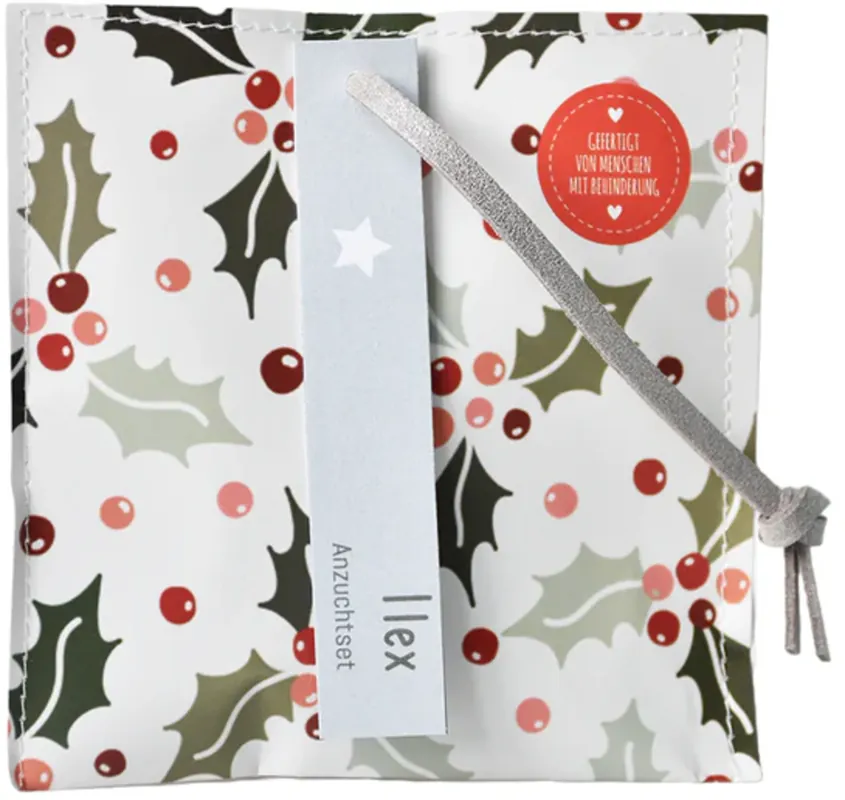 Wunderle Kleine Kerstgroet Kweekset "Ilex" - Laatste kans