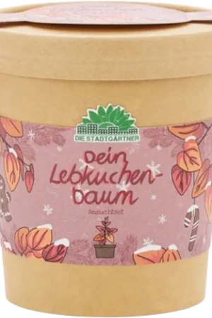 Spoedlevering | Die Stadtgärtner Katsuraboom uit de Mok