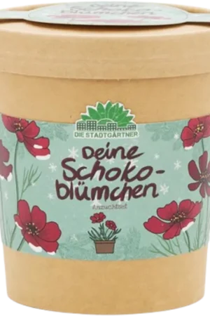 Die Stadtgärtner Chocolade Cosmos uit de Mok - Populair bij klanten