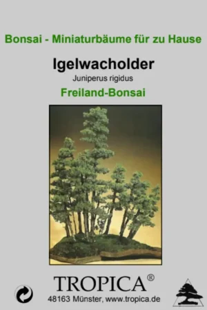 Scherpe prijs | TROPICA Egeljeneverbes - Outdoor Bonsai, 15 Korrels
