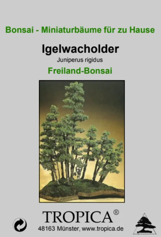 Scherpe prijs | TROPICA Egeljeneverbes - Outdoor Bonsai, 15 Korrels