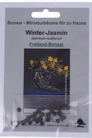 Populair - TROPICA Winter Jasmijn - Outdoor Bonsai, 25 Korrels