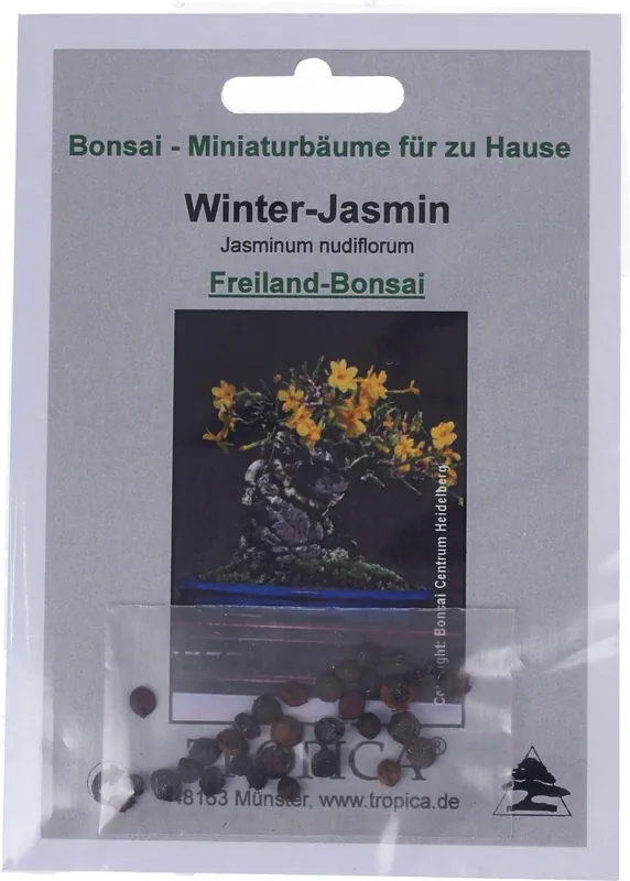 Populair - TROPICA Winter Jasmijn - Outdoor Bonsai, 25 Korrels