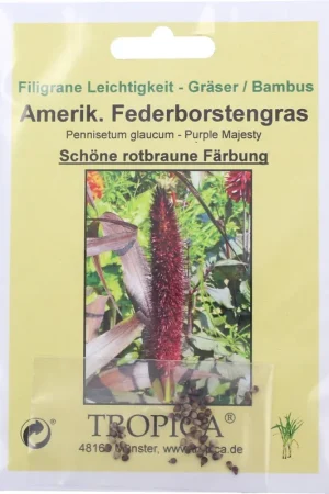 TROPICA Amerikaans Parelgierst, 10 Korrels - Extra voordeel