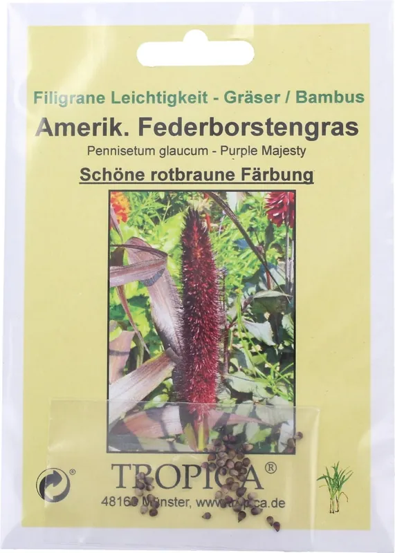TROPICA Amerikaans Parelgierst, 10 Korrels - Extra voordeel
