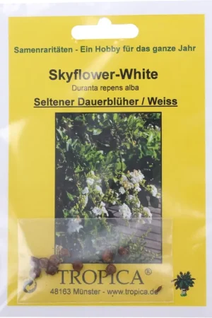 Beperkte voorraad | TROPICA Skyflower-White, 10 Korrels