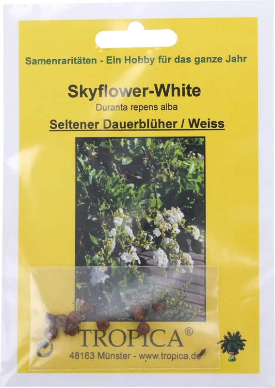 Beperkte voorraad | TROPICA Skyflower-White, 10 Korrels
