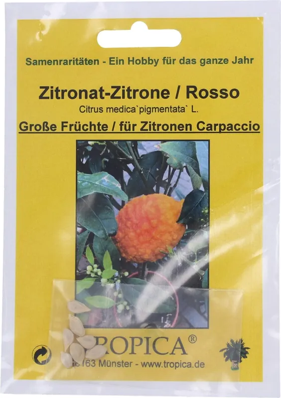 TROPICA Citrus-citroen “Roso”, 7 Korrels | Prijs verlaagd