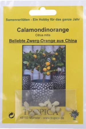 Slechts tijdelijk | TROPICA Calamondin , 10 Korrels