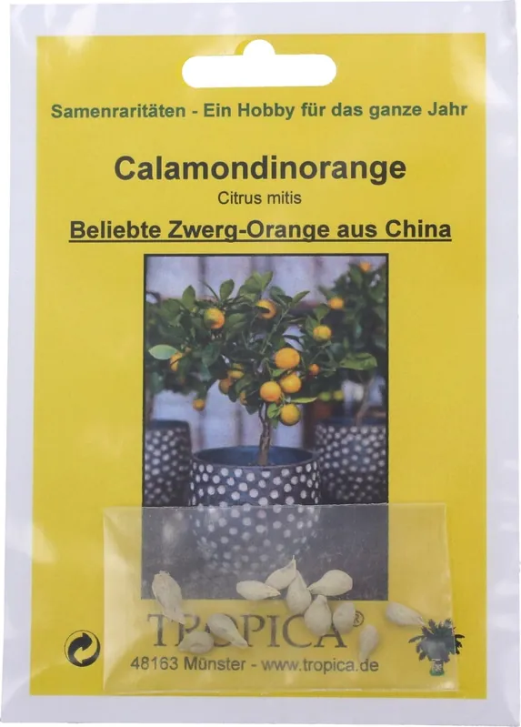 Slechts tijdelijk | TROPICA Calamondin , 10 Korrels