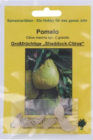Veel gekozen | TROPICA Pomelo, 6 Korrels