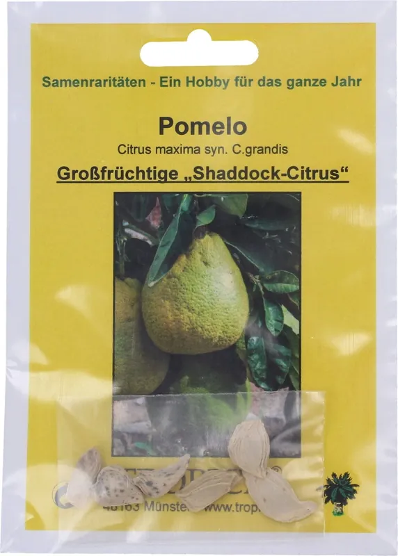 Veel gekozen | TROPICA Pomelo, 6 Korrels