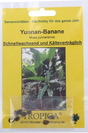 TROPICA Yunnan Banaan, 7 Korrels - Erg populair