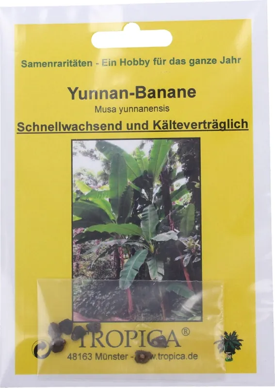 TROPICA Yunnan Banaan, 7 Korrels - Erg populair