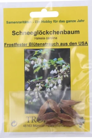 TROPICA Sneeuwklokjesboom, 7 Korrels - Actie loopt bijna af