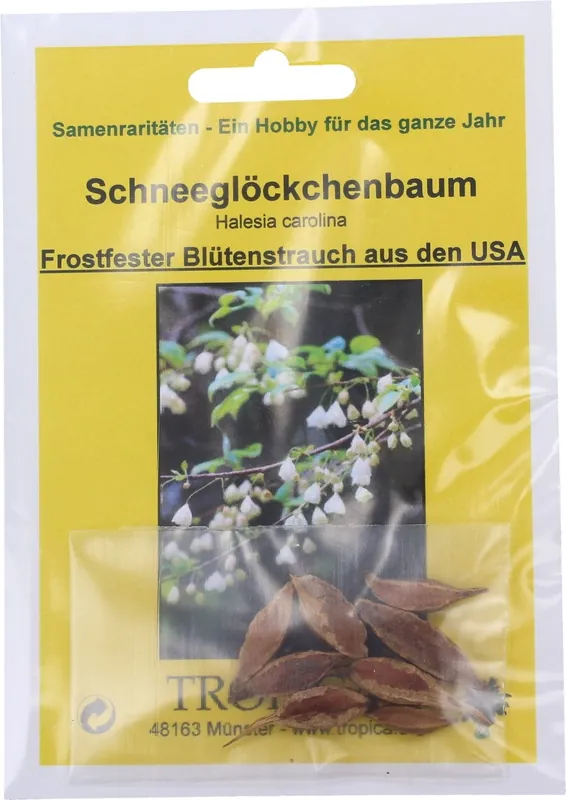 TROPICA Sneeuwklokjesboom, 7 Korrels - Actie loopt bijna af