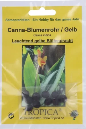 Goed beoordeeld - TROPICA Indisch Bloemriet, Geel, 10 Korrels