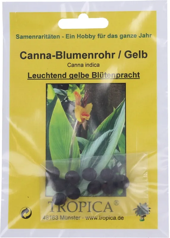 Goed beoordeeld - TROPICA Indisch Bloemriet, Geel, 10 Korrels