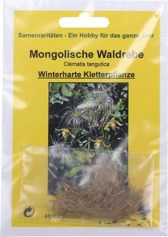Scherp geprijsd | TROPICA Mongoolse Clematis, 20 Korrels