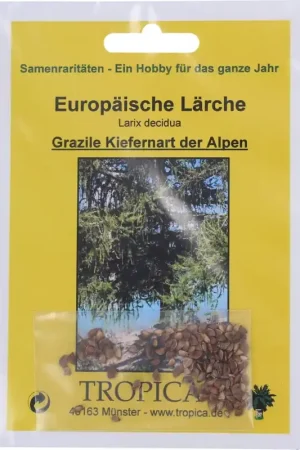 TROPICA Europese Lariks, 50 Korrels | Hoog gewaardeerd
