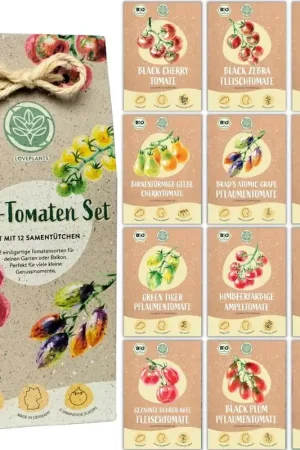 Actie | LOVEPLANTS Biologische Mini-Tomaatzadenset