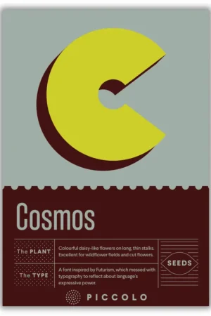 Hoge kwaliteit | Piccolo Seeds C - Cosmos - Cosmea