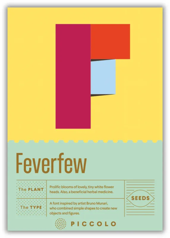 Favoriet van klanten | Piccolo Seeds F - Feverfew - Moederkruid