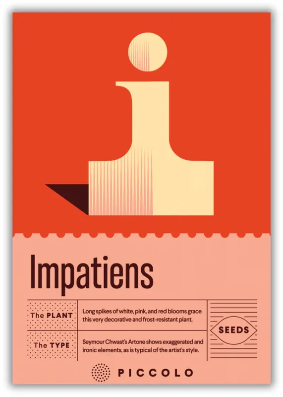 Piccolo Seeds I - Impatiens - Impatiens balsamina | Beste prijs
