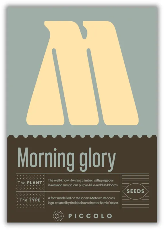 Veel voordeel | Piccolo Seeds M - Morning Glory - Blauwe Winde