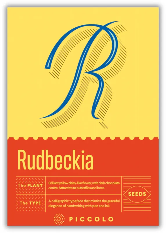 Piccolo Seeds R - Rudbeckia - Ruige Zonnehoed - Actie