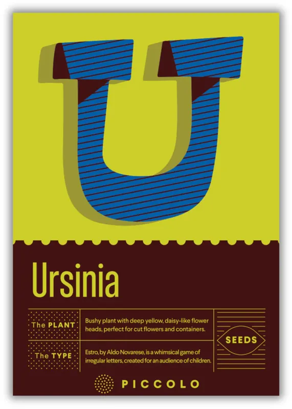 Piccolo Seeds U - Ursinia - Ursinia Anethoides | Online bestelbaar