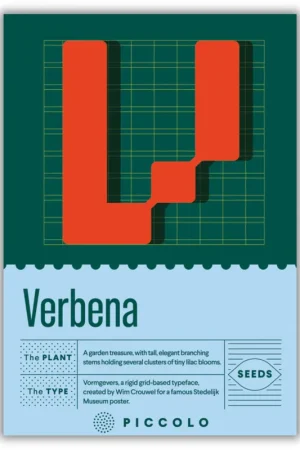 Verlaagde prijs | Piccolo Seeds V - Verbena - Stijf IJzerhard