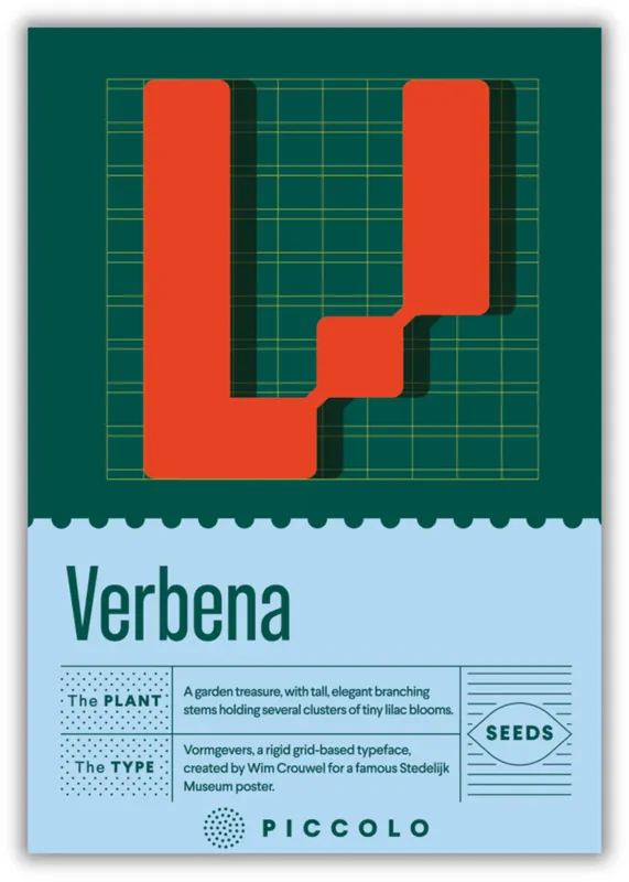 Verlaagde prijs | Piccolo Seeds V - Verbena - Stijf IJzerhard