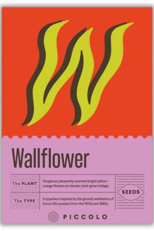 Topprijs | Piccolo Seeds W - Wallflower - Muurbloem