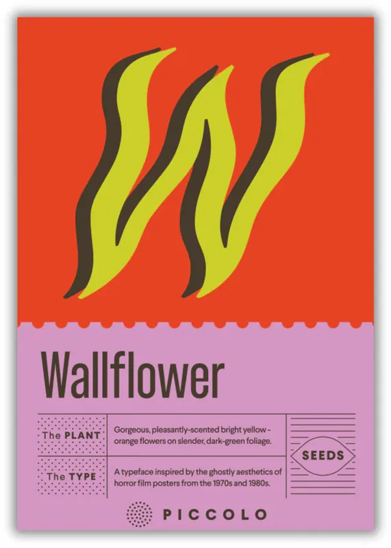 Topprijs | Piccolo Seeds W - Wallflower - Muurbloem