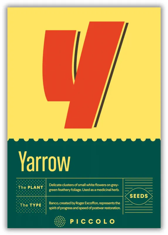 Piccolo Seeds Y - Yarrow - Duizendblad - Alleen deze week
