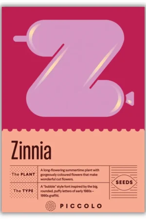 Snelle verzending | Piccolo Seeds Z - Zinnia - Lagei Zinnia