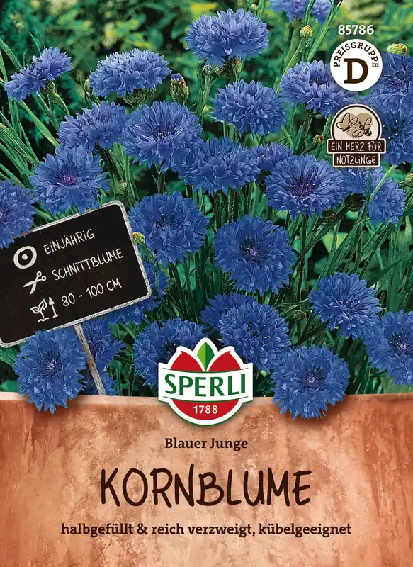 Sperli Korenbloem - Blauer Junge - Prijs verlaagd